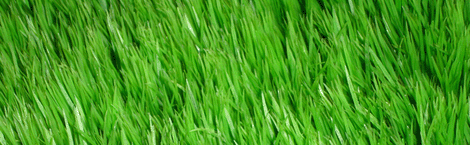 Exel Banner 2